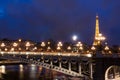 Eiffel Tower and Pont Alexandre III Royalty Free Stock Photo